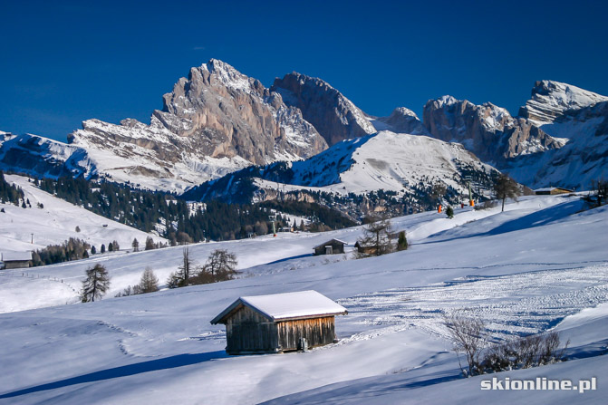 Dolomity, Alpe di Siusi - Seiser Alm
